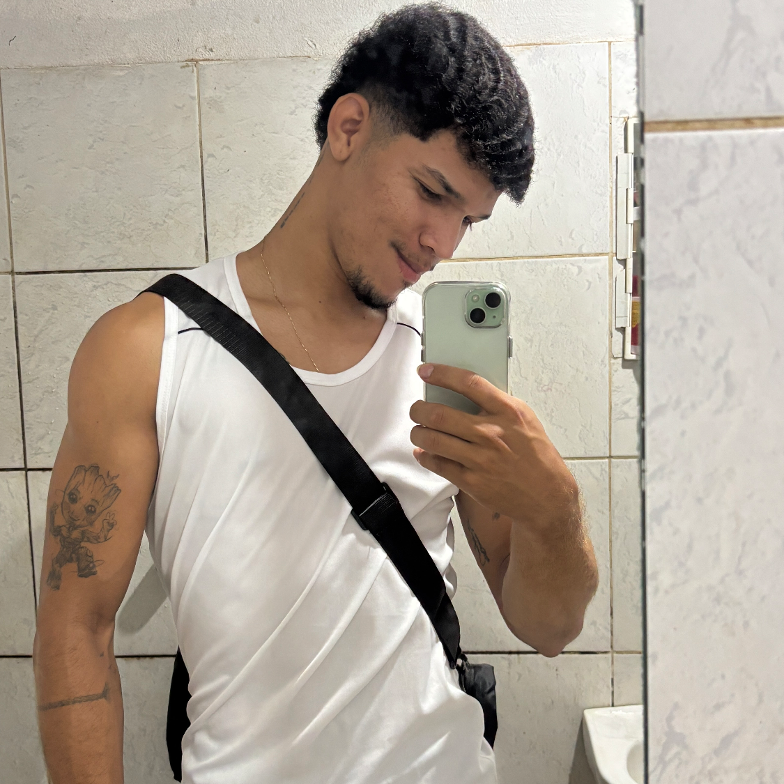 perfil usuario